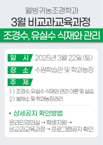 배너