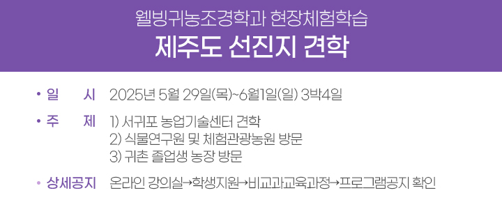 배너